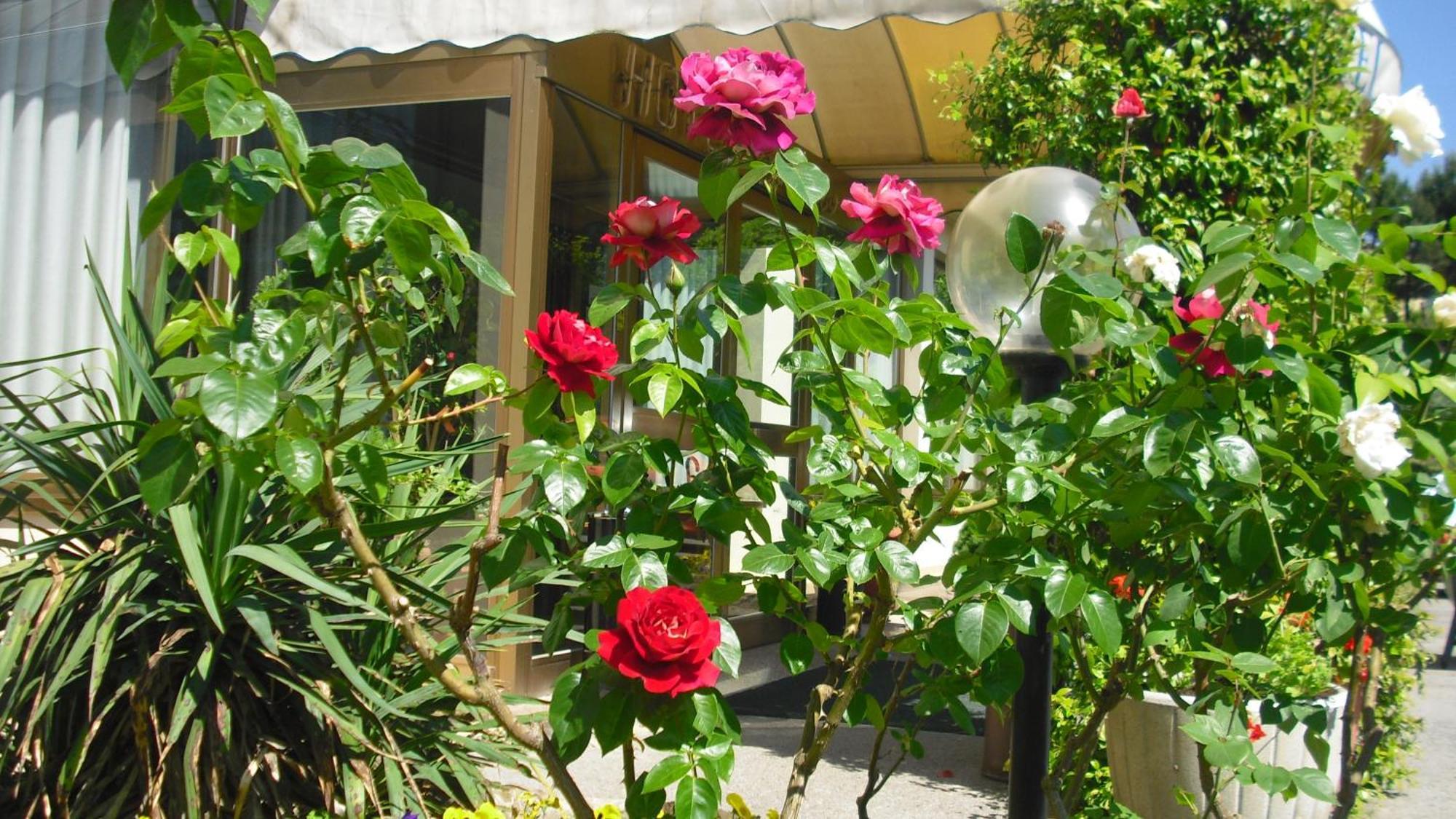 Hotel Park Galileo